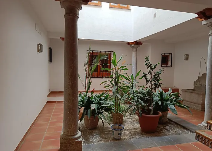 Apartamento Concepción Granada Centro
